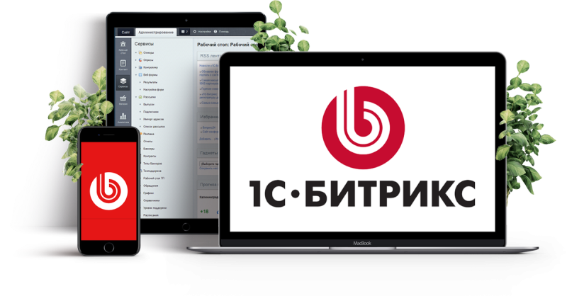 Разработка сайтов на базе 1С Битрикс в Анапе и Краснодарском крае – быстро, надежно, профессионально